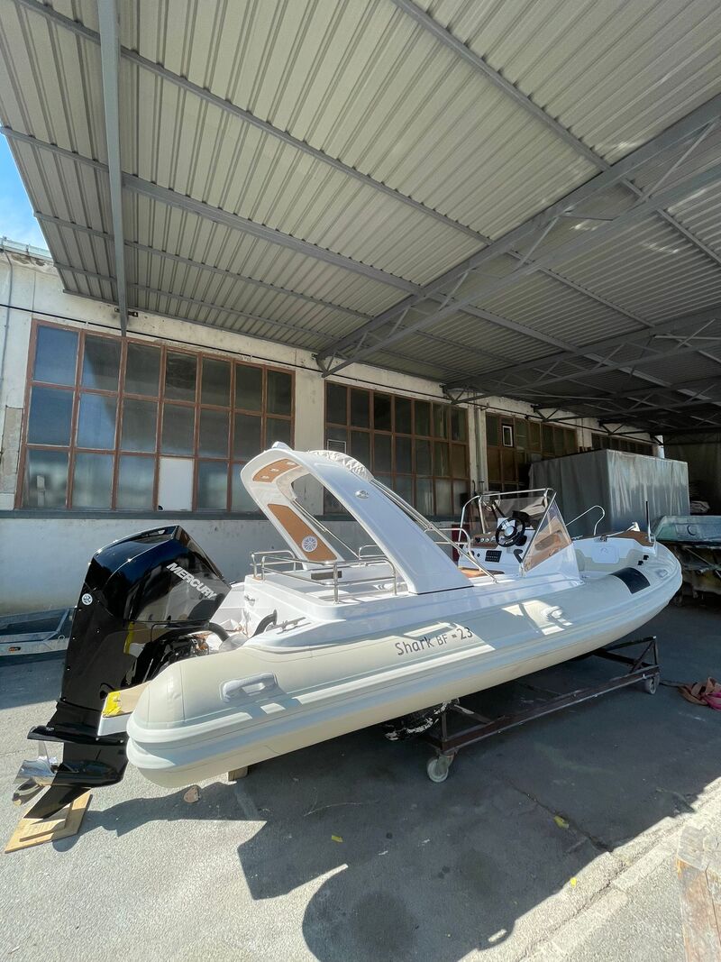 SHARK 23