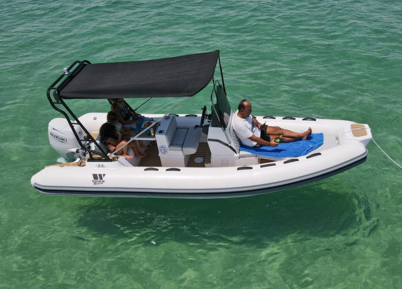 PRO LINE 550 PL
