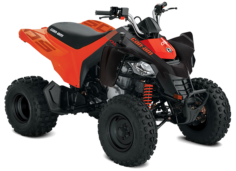 CAN-AM RENEGADE STD 250